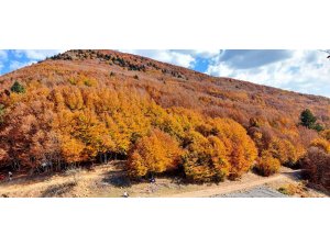 Kahramanmaraş sonbaharda renk cümbüşüne döndü