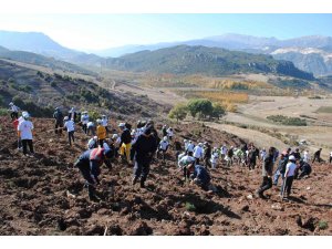 Eğirdir’de 2 bin fidan toprakla buluştu