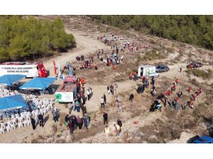 Mersin’de sazlı sözlü fidan dikimi