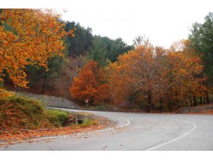 Adana’nın saklı cenneti Belemedik renk cümbüşüne büründü