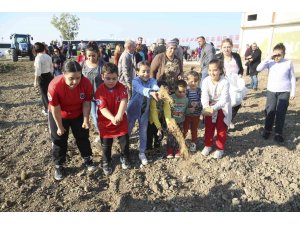 Buğday tohumları toprakla buluşturuldu