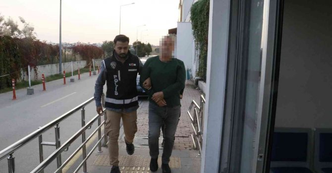 Sigorta şirketlerini dolandıran şebekeye şafak operasyonu