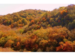 Dumanlı Yaylası’nın hayran bırakan sonbahar manzarası