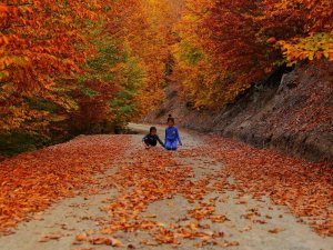 Kahramanmaraş’ta sonbahar renkleri