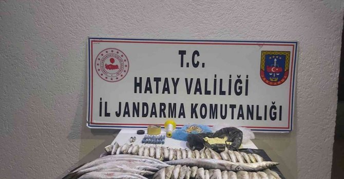 Yasa dışı balık avlayan 3 kişiye 44 bin 580 lira ceza