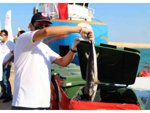 Antalya’da balıkçılara istilacı balon balığı bereketi