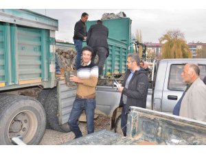 Elbistan’da üreticilere hibe destekli alıç fidanı dağıtıldı