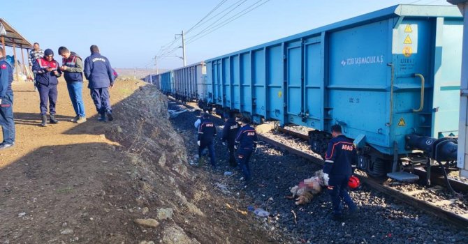 Yük treni sürüye çarptı: Çoban öldü, 30 koyun telef oldu