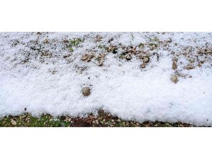 Antalya’da dolu, portakal bahçelerine ve seralara zarar verdi