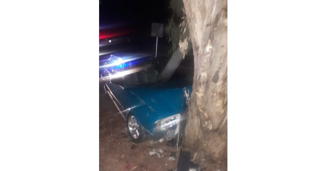 Ağaca çarpan otomobil sürücüsü ölümden döndü