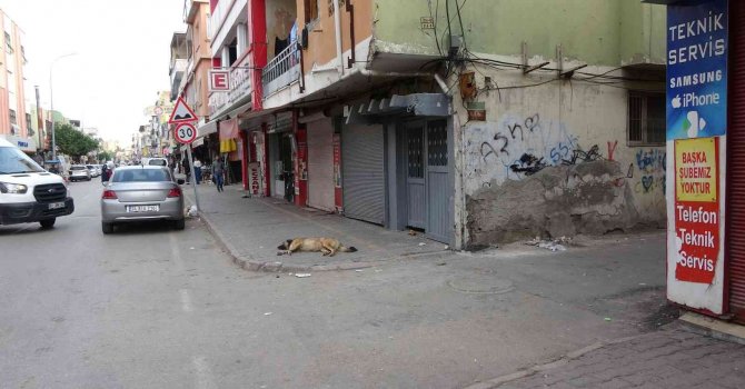 Motosikletli polis aracına çarptı, sürücünün havalanıp düşme anı kameraya yansıdı