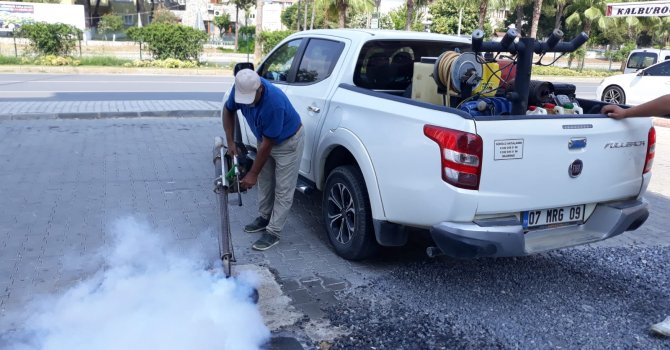 İlçelerde haşereye geçit yok