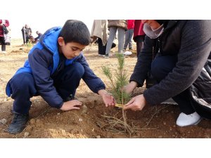 Yetimler babaları için fidan dikti