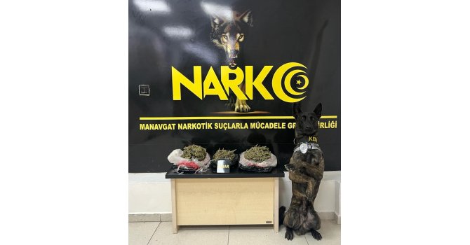 Narkotik köpek Pars’tan uyuşturucuya geçit yok