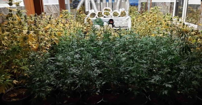 Kiralık evde uyuşturucu laboratuvarına jandarma baskını