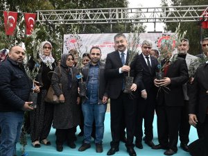 Osmaniye’de zeytincilik gelişiyor