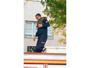 Mahsur kalan kedi, itfaiye erinin omzunda aşağı indi