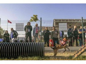 Mersin’de ’Köpekli Arama Kurtarma Çalıştayı’ sona erdi