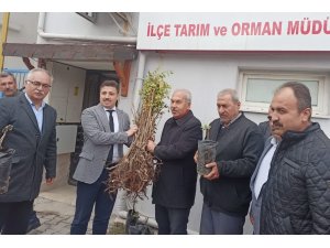 90 üreticiye 22 bin 500 adet sumak fidanı dağıtıldı