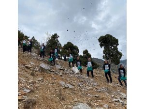 Feke’de sedir tohumları toprakla buluşuyor