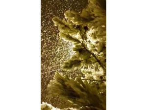 Tufanbeyli’de yoğun kar yağışı