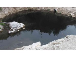 Göksu Nehri’ni kirleten iki fabrikaya 3 milyon 73 bin TL ceza