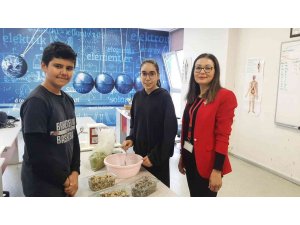 Doğal bitkilerden saç boyası ürettiler