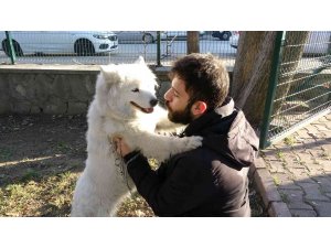 Mikro çip uygulamasının bitmesine bir gün kala Tarım İl Müdürlüğünde beyanname yoğunluğu