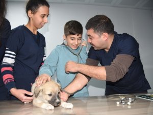 Öğrenciler, yavru köpeklerin kalp atışlarını dinledi