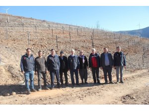 Bahçe’de telli terbiye sistemli üzüm bahçesi kuruldu