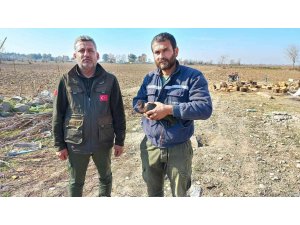 Yaralı bulunan çeltikçi kuşu ve kızıl şahin tedaviye alındı