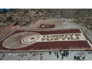Osmaniye’de 28 bin fidanla Türkiye yüzyılı logosu oluşturuldu