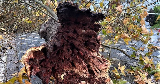 Antalya’da şiddetli yağmur yolları göle çevirdi