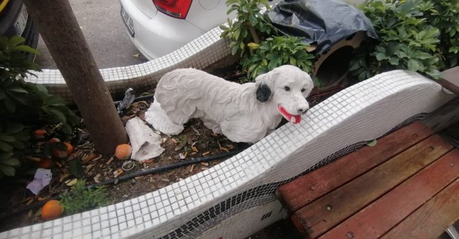 İş yerinin önündeki 25 liralık köpek maketlerini çaldılar