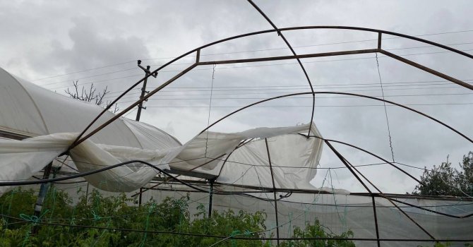 Antalya’da hortum domates ve çilek seralarını parçaladı