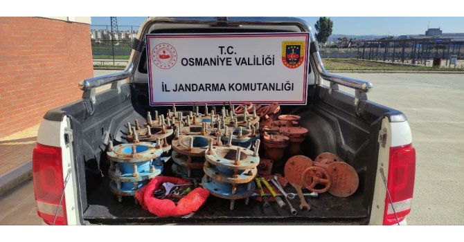 Vanaları çalan hırsızlık şüphelisi yakalandı