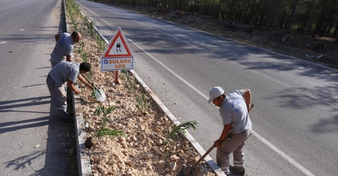 Kepez’in caddeleri çiçek açıyor