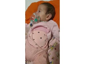 Hastanede yatan 5 aylık ikizler taburcu oldu