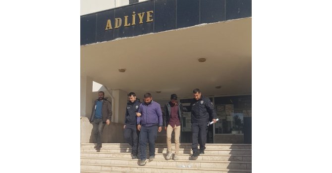 Kablo hırsızlığı yapan 2 şüpheli tutuklandı