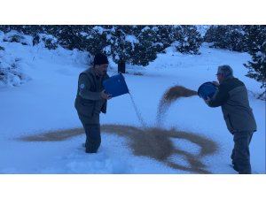 Doğada yaşayan hayvanlar unutulmadı, yoğun kar yağan bölgelere yem bırakıldı