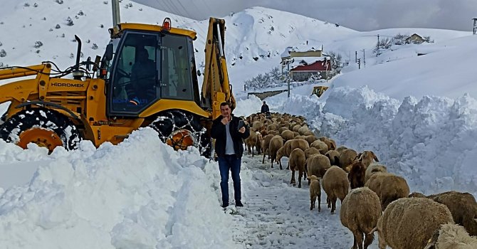 Yaylada koyunlarıyla birlikte 3 gün mahsur kalan çobanı belediye ekipleri kurtardı
