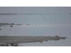 Göller bölgesinde kuşların izini sürüyorlar