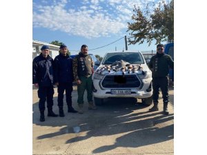 Koruma altındaki kuşları avlayan 6 kişi yakalandı