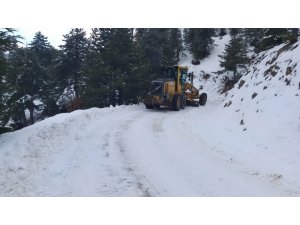 Kahramanmaraş’ta kar ve tipiden kapanan 186 mahalle yolu açıldı