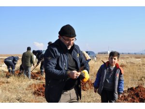 Hedef arıcılıkta verimi artırmak: Lavanta tarlasına bin adet alıç fidanı dikildi