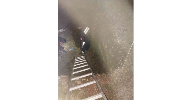 Çukura düşün köpek itfaiye tarafından kurtarıldı