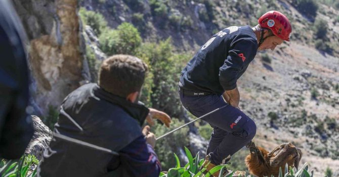 Mahsur kalan 3 keçiyi itfaiye kurtardı