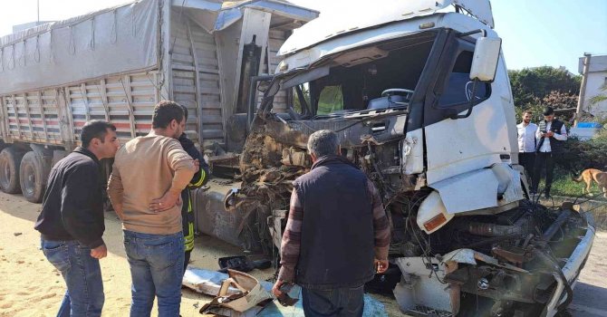 Köpeğe çarpmamak için ani firen yapınca tırlar çarpıştı