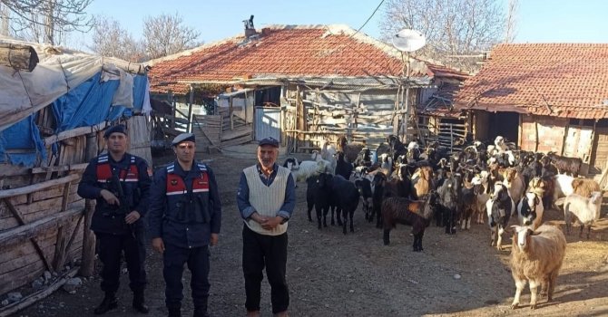 Burdur’da kaybolan 70 küçükbaş hayvan, jandarma ekipleri tarafından bulundu