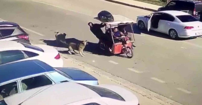 Köpekler saldırdı, motordan inen şahıs hayvanlara kızarak kovaladı